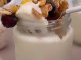Yogurth Fácil FIRME 😙(leche común y polvo, stevia, vainilla, miel)