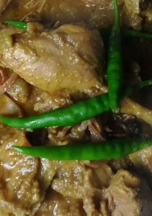 হাসেঁর মাংস ভুনা রেসিপির প্রধান ছবি