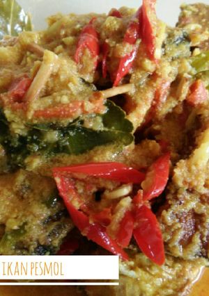 Foto resep Pesmol dadakan