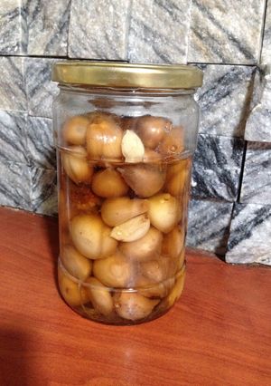 عکسی از دستور سیرترشی 😊