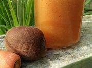 Gambar jus wortel kiwi