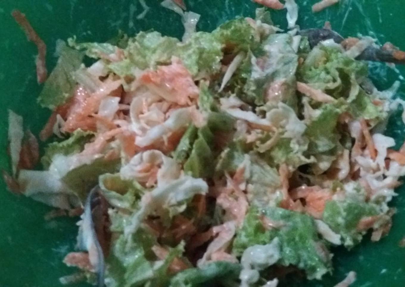 Salad Sayuran