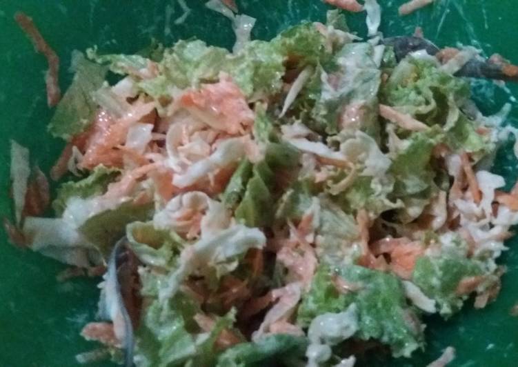 Resep Salad Sayuran Anti Gagal