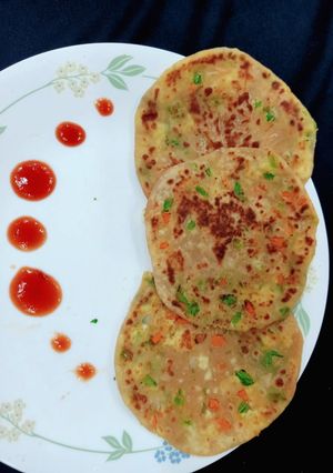 મિક્સ વેજ. પનીર ચીઝ પરાઠા (Mix Veg.Paneer Cheese Paratha Recipe In Gujarati) રેસીપી મુખ્ય ફોટો