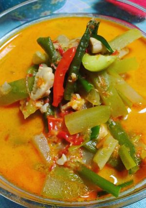 Foto resep Sayur Lodeh Labu Siam/Manisa/Gondes Sehat non msg