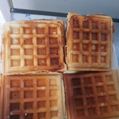 A picture of Waffles.