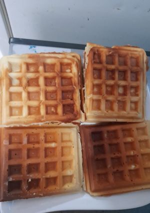 A picture of Waffles.