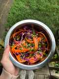 Asian Carrot Salad