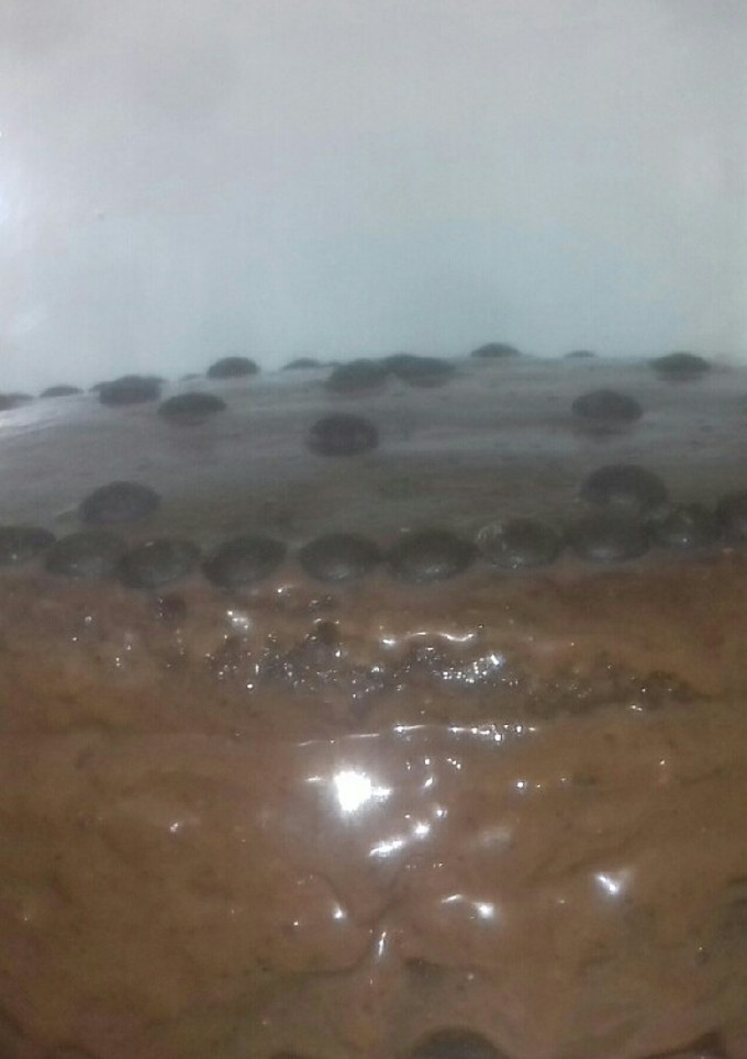 Una foto de Torta 🍫&🍊