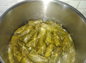 Φωτογραφία της συνταγής Ντολμαδάκια γιαλαντζί ☺️