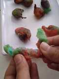 Galundeng warna warni