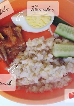 Gambar Nasi Lemak version baby