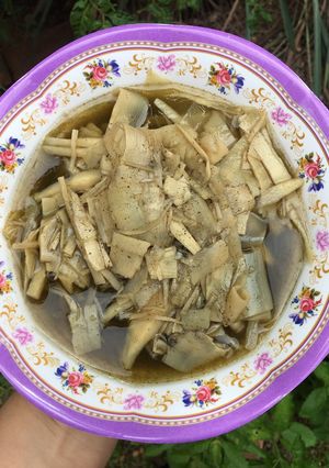 รูปของ “หน่อไม้ต้มย่านาง”