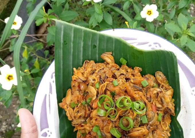 Cara bikin Kerang saus tiram Cara bikin Kerang saus tiram