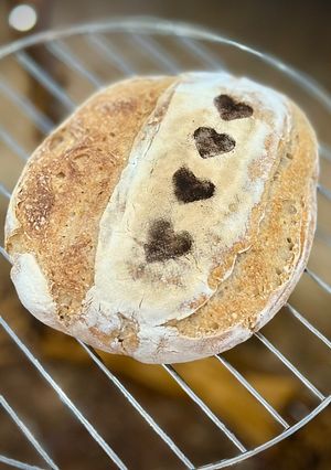 عکسی از دستور نان روستیک یا کلاسیک خمیر ترش 🥯