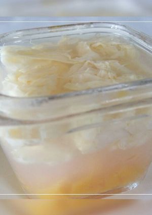 Foto resep Puding Sarang Mangga (MPASI Cemilan)