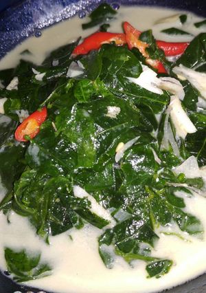 Foto resep Daun katuk, Booster asi