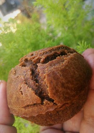 A picture of Wheat cup cakes.
