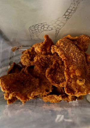Foto resep Kulit ayam crispy