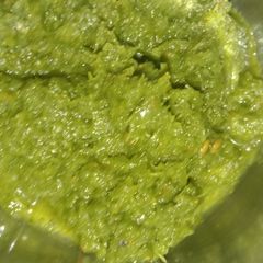A picture of Coriander Chutney.