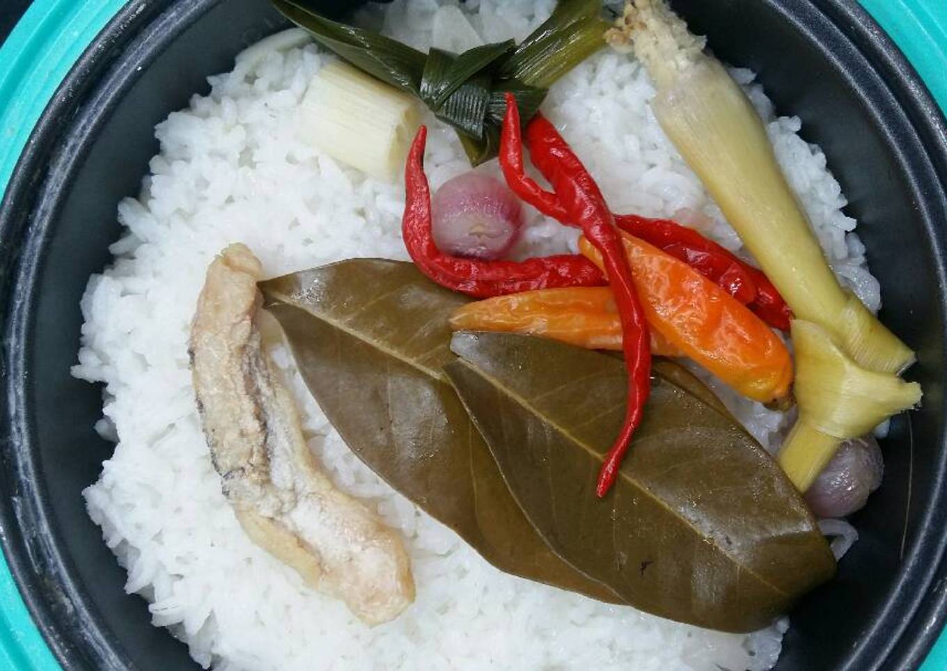 Nasi Livet maagias