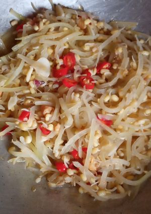Foto resep Oseng pepaya muda 'n toge