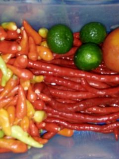 Foto resep #Tips&Trik Cabe Untuk Rendang opor gulai dan lain2