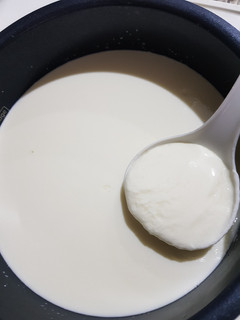 Hình của món Sữa chua dẻo.