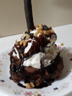 A picture of Brownie.