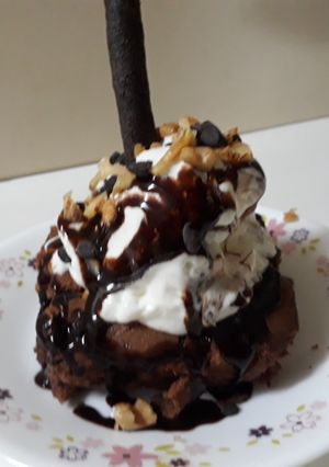 A picture of Brownie.