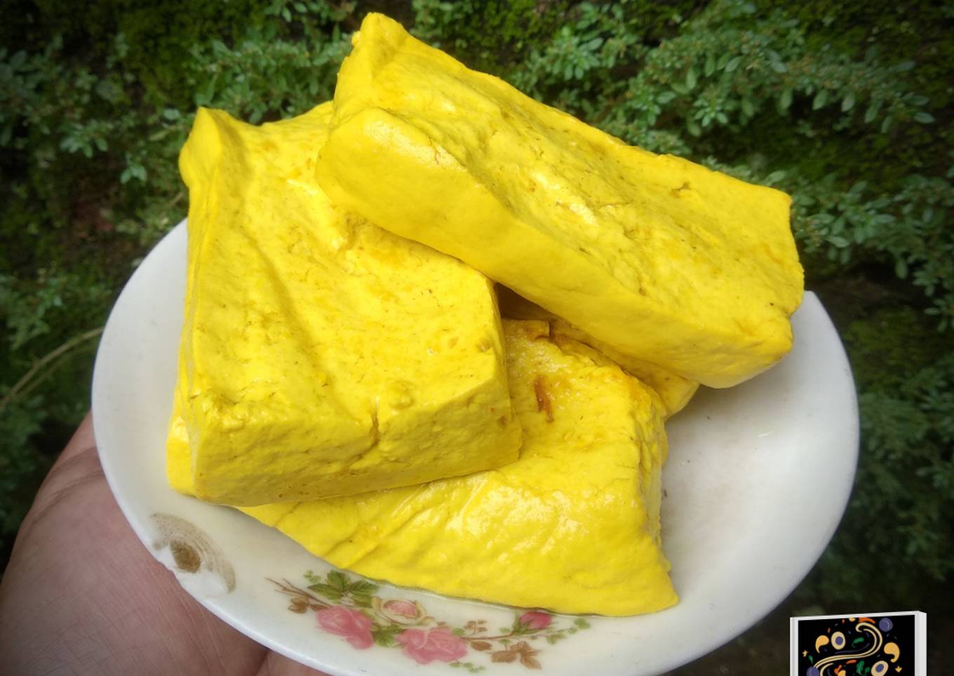 Tahu Ungkep
