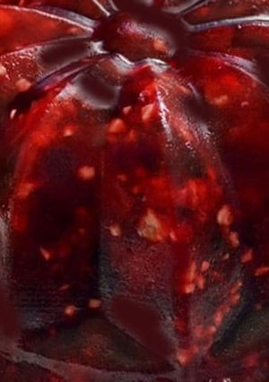 A picture of Cranberry gelatin.