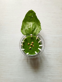 A picture of Green chane and Spinach soup.