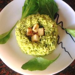 A picture of Palak Paneer Dum Biryani.