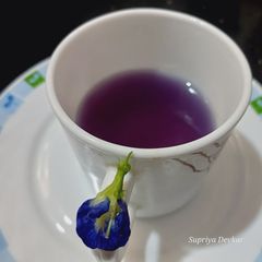 A picture of Butterfly pea flower masala tea (gokarna or aparajita).