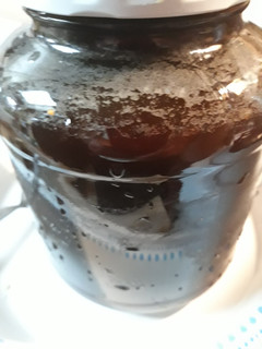A picture of Old-fashioned Switchel/ Haymaker Punch.