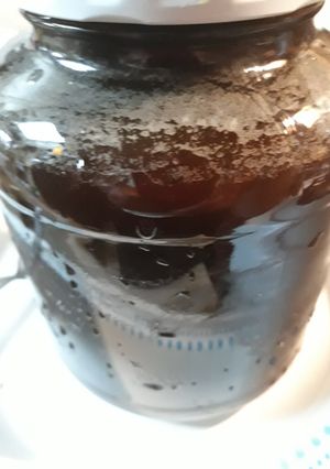 A picture of Old-fashioned Switchel/ Haymaker Punch.