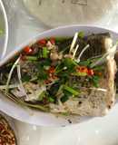 Cá chẽm hấp Hong Kong