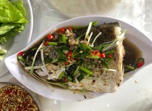 Hình của món Cá chẽm hấp Hong Kong.