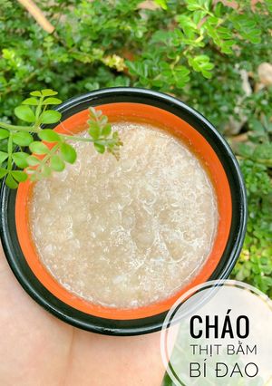 Hình của món Ăn dặm - Cháo thịt bằm bí đao.
