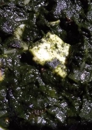 A picture of Palang paneer.