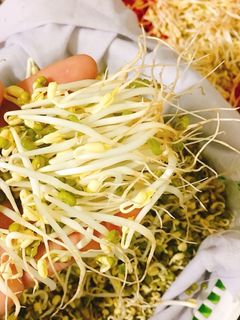 Hình của món Giá đậu.
