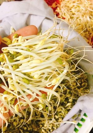 Hình của món Giá đậu.