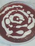 Borscht. Sopa típica do leste europeu