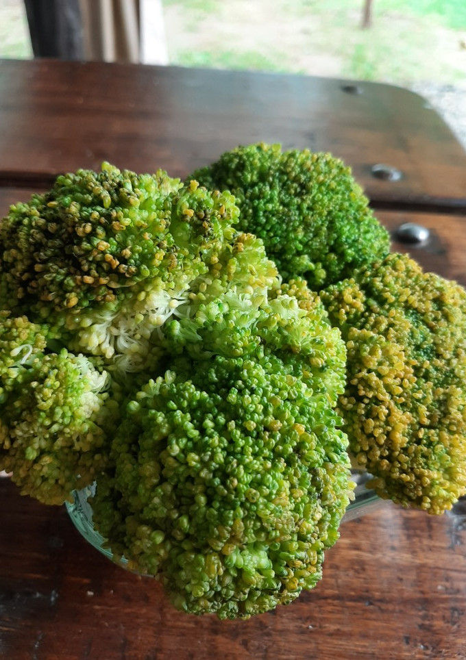Una foto de Brócoli al microondas