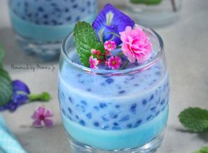 Foto resep Butterfly Pea Coconut Sagoo Pudding