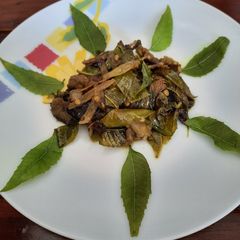 A picture of Neem and Eggplant Neem begun.