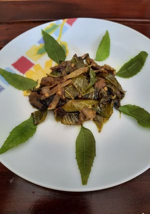 A picture of Neem and Eggplant Neem begun.