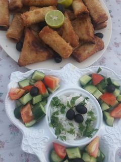 صورة لوصفة بريك بالدجاج والخضار