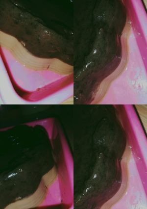Foto resep Puding Oreo Milo simple!!